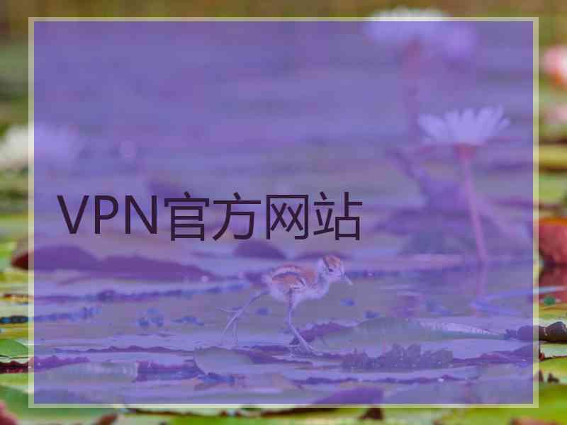 VPN官方网站