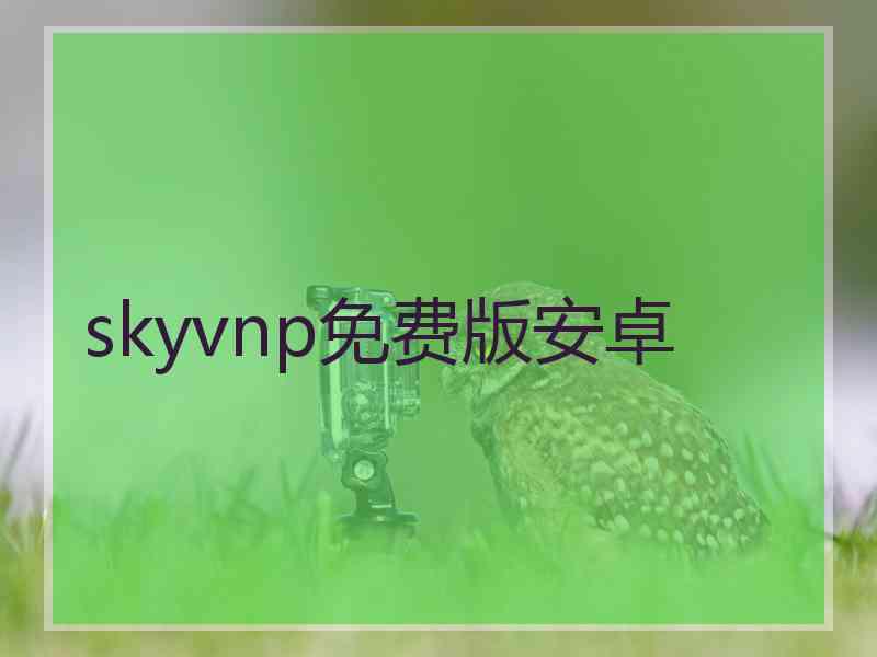 skyvnp免费版安卓