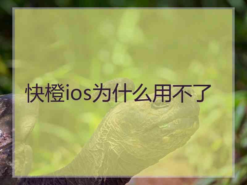 快橙ios为什么用不了