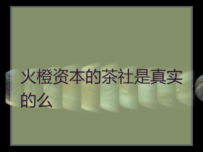 火橙资本的茶社是真实的么