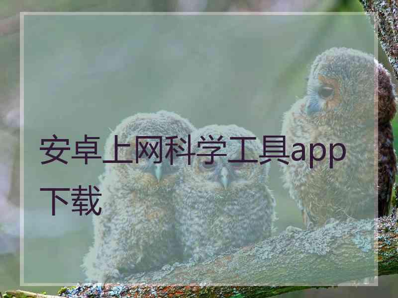 安卓上网科学工具app下载