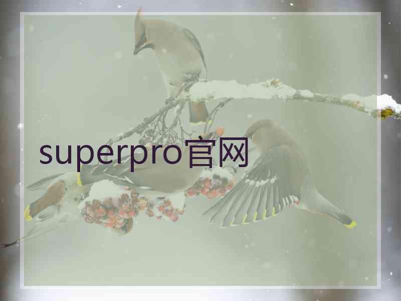 superpro官网