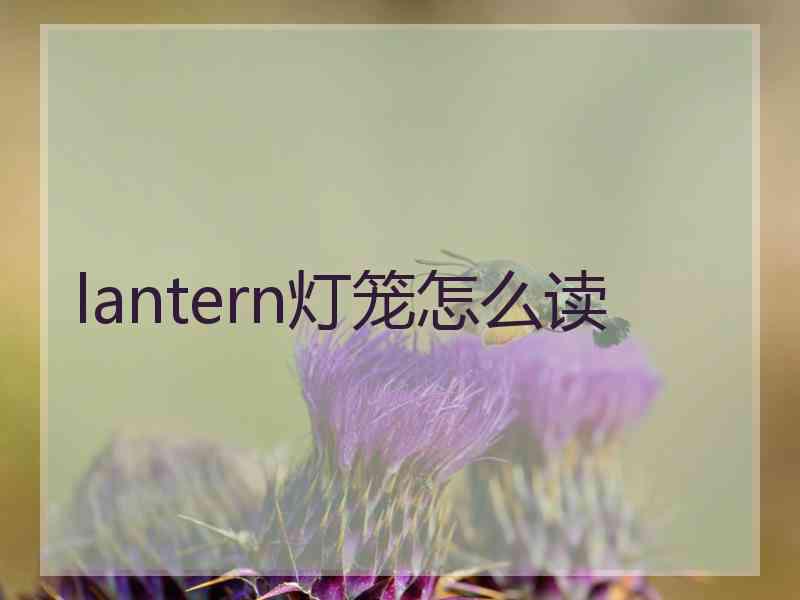 lantern灯笼怎么读