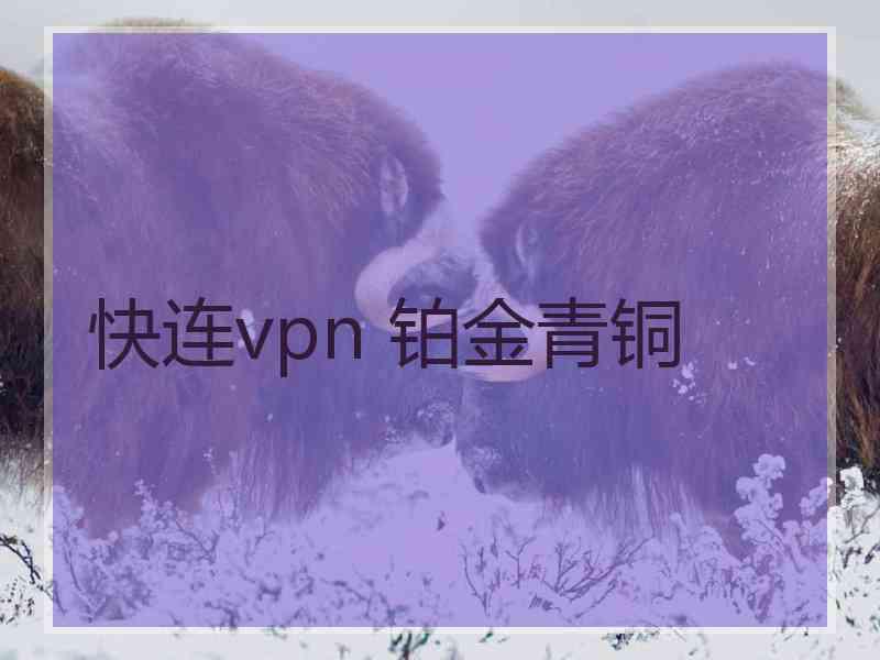 快连vpn 铂金青铜