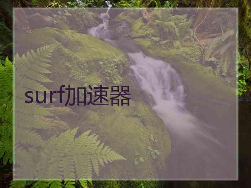 surf加速器