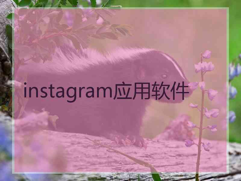 instagram应用软件