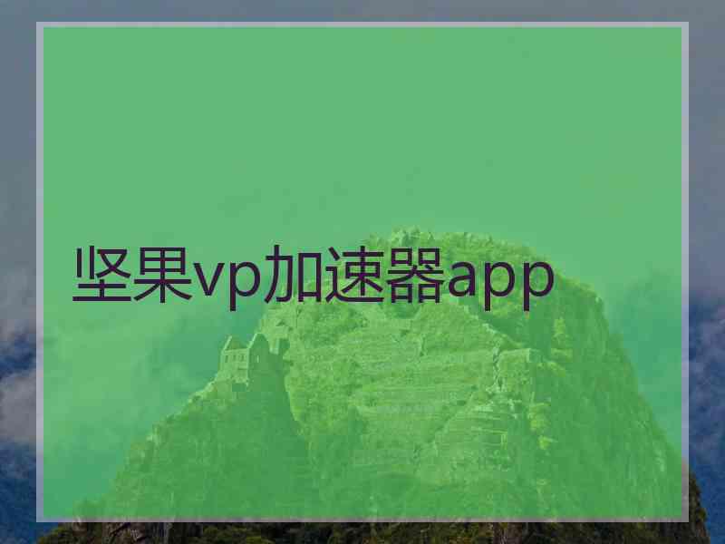 坚果vp加速器app