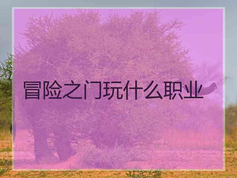 冒险之门玩什么职业