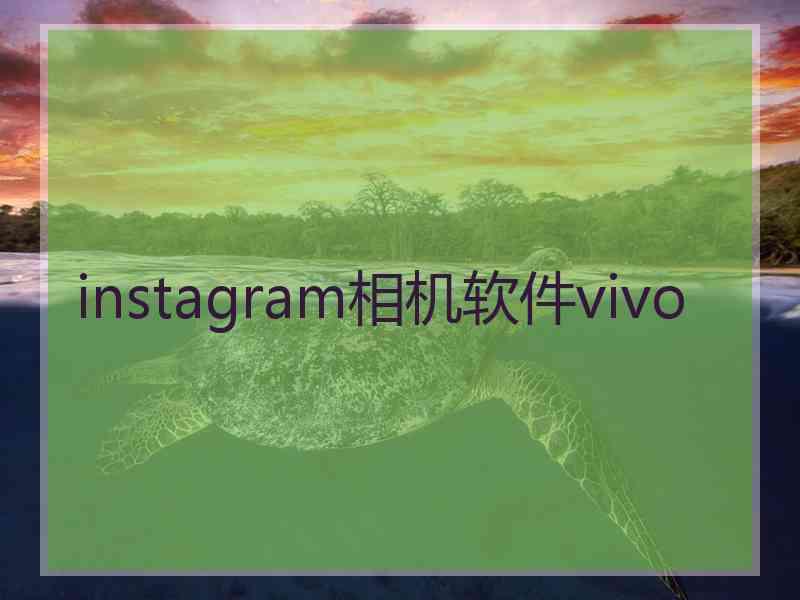 instagram相机软件vivo