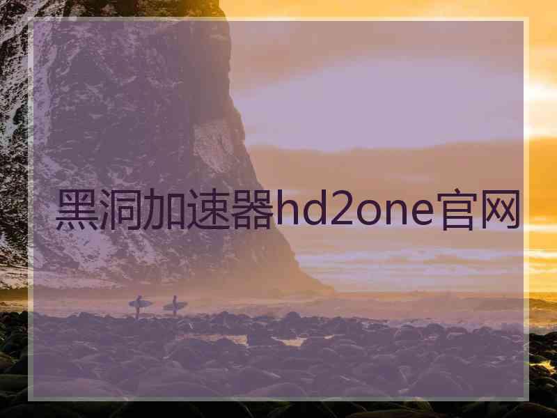 黑洞加速器hd2one官网