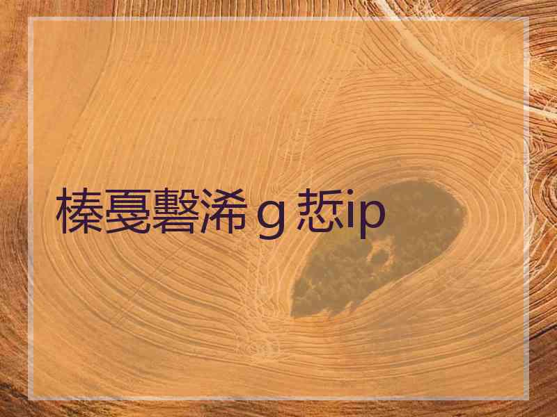 榛戞礊浠ｇ悊ip