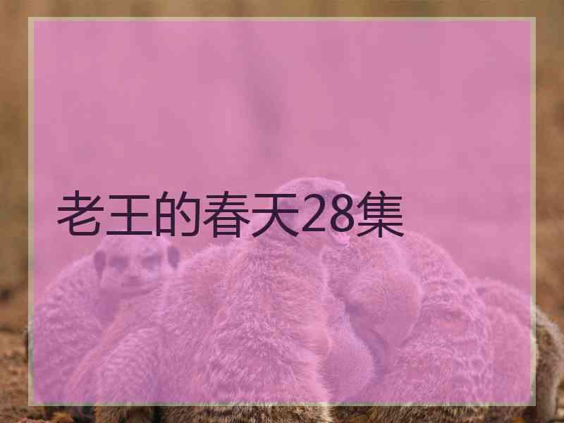 老王的春天28集