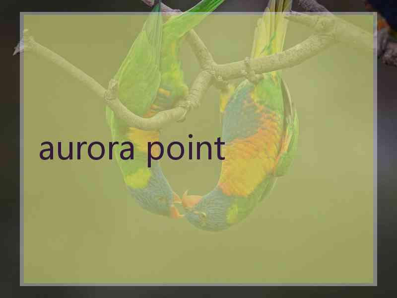 aurora point