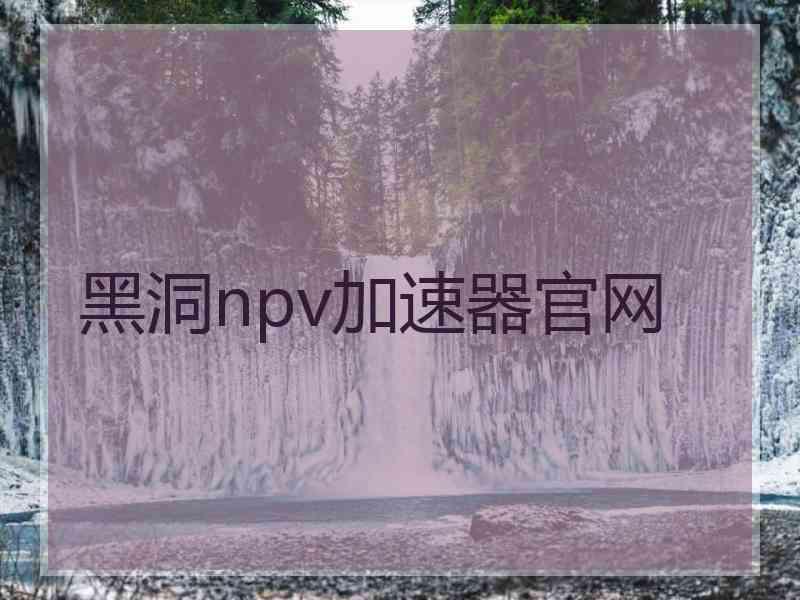 黑洞npv加速器官网