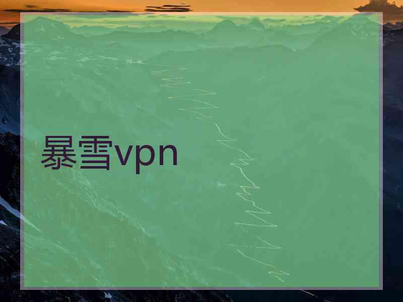 暴雪vpn