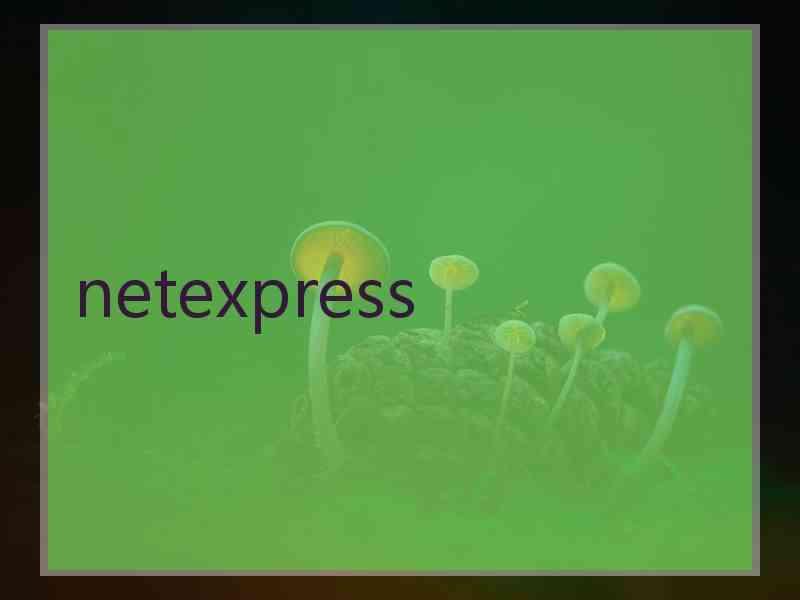 netexpress