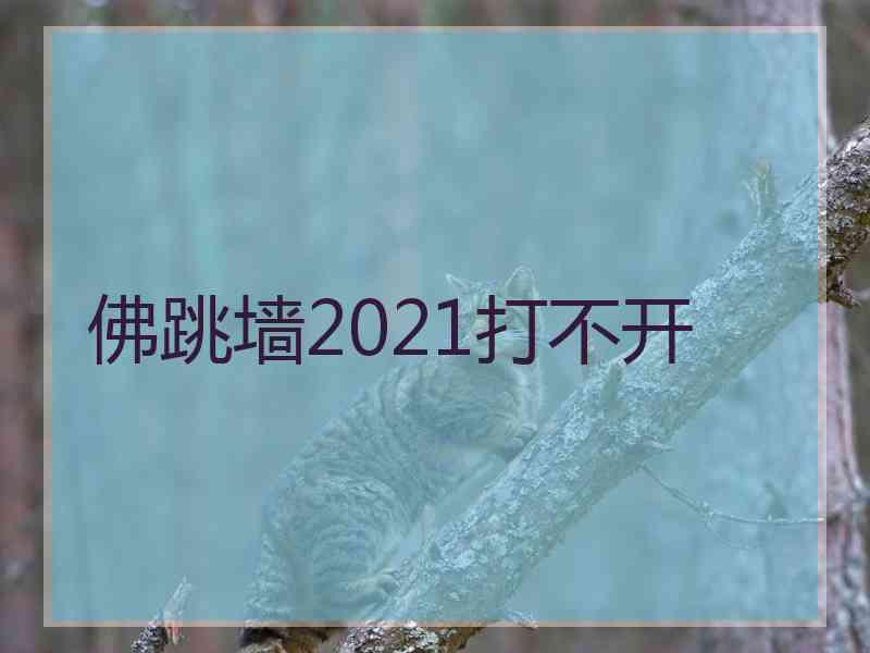 佛跳墙2021打不开