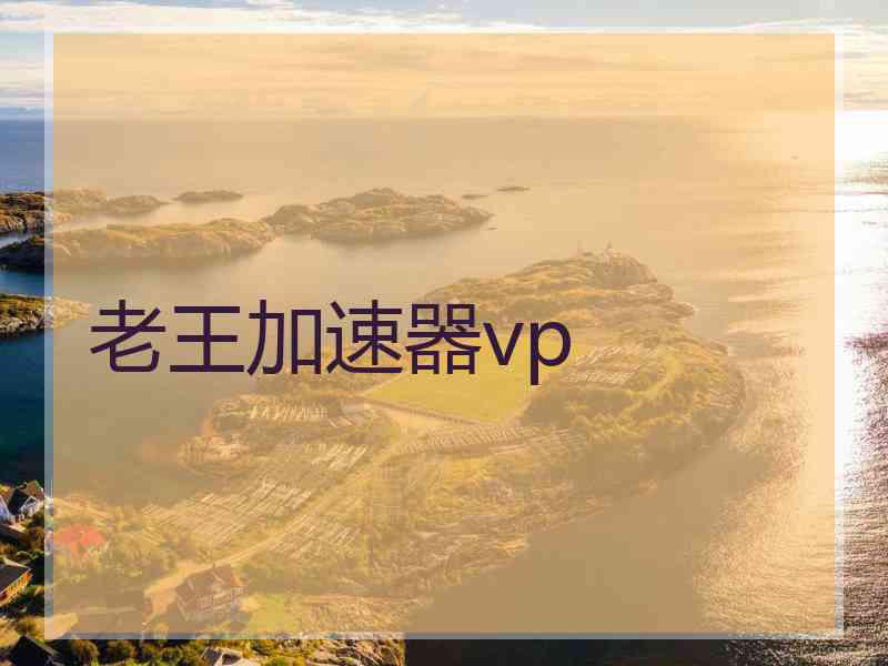 老王加速器vp