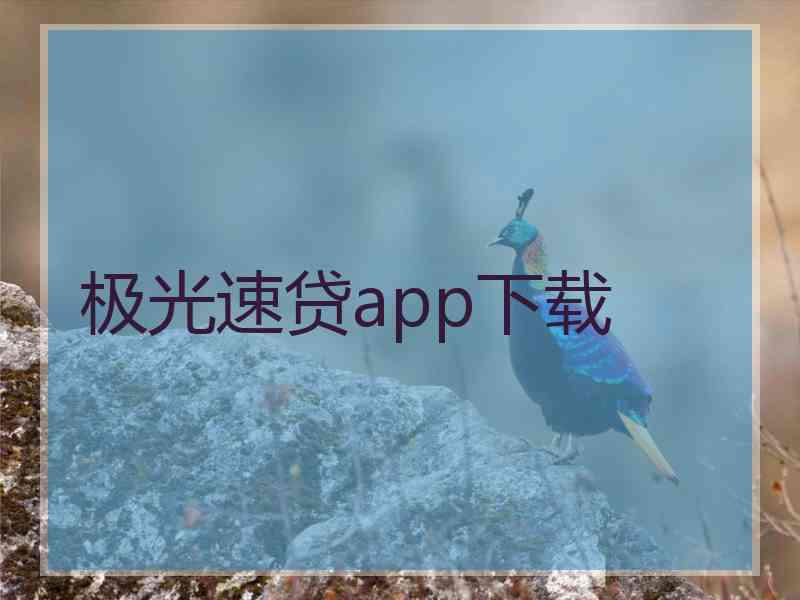 极光速贷app下载