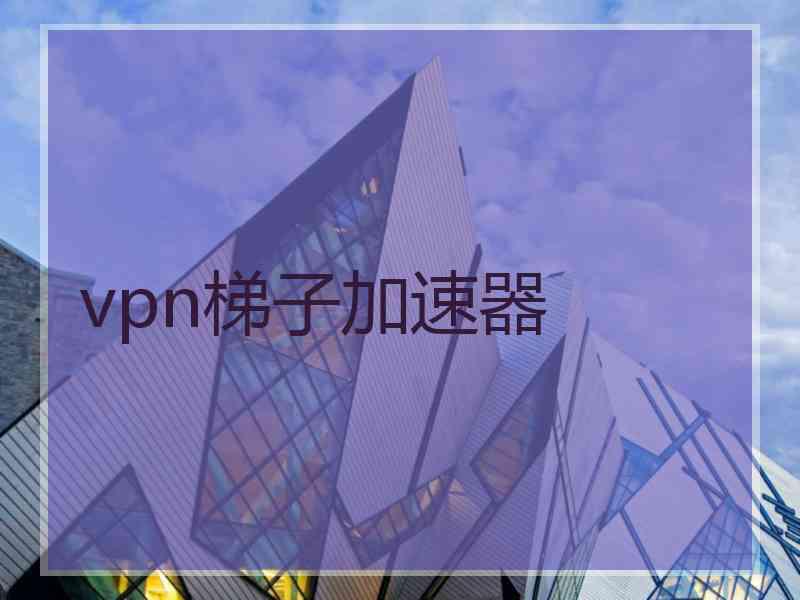 vpn梯子加速器