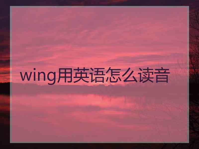 wing用英语怎么读音