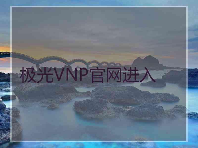 极光VNP官网进入