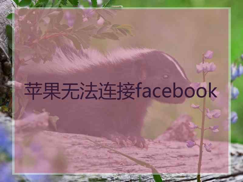 苹果无法连接facebook