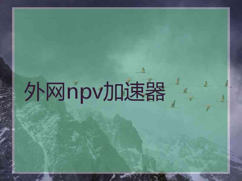 外网npv加速器