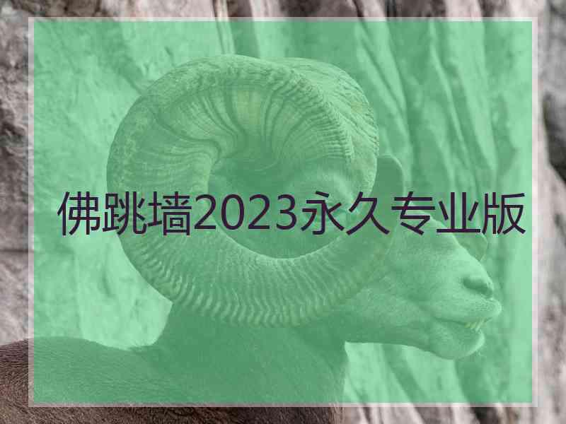 佛跳墙2023永久专业版