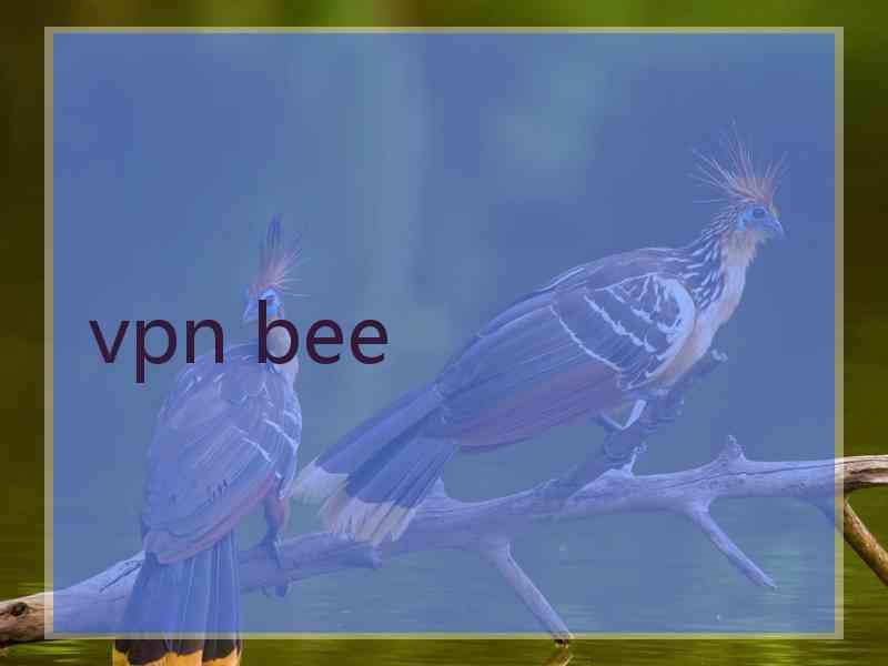 vpn bee