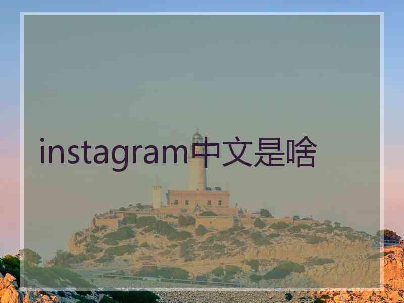 instagram中文是啥