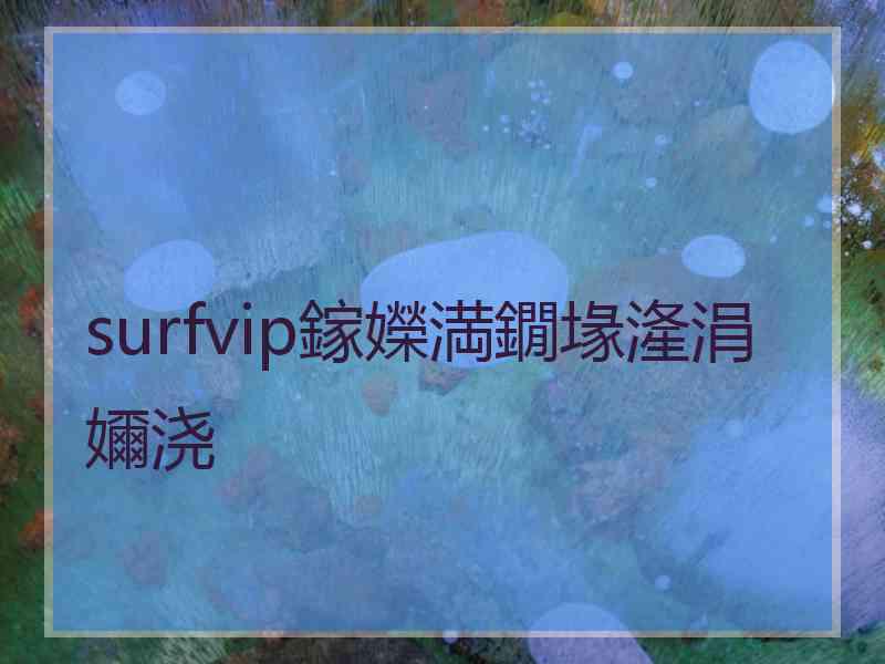 surfvip鎵嬫満鐗堟湰涓嬭浇