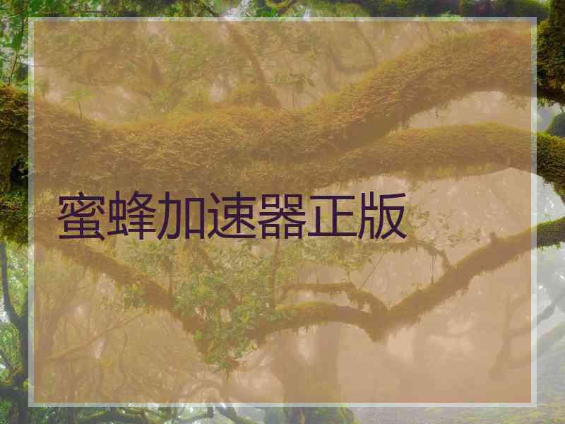 蜜蜂加速器正版