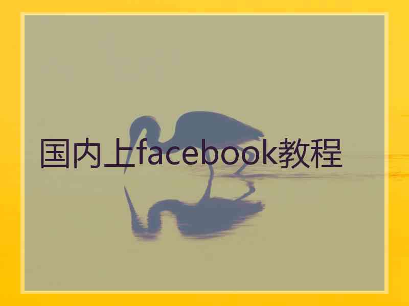 国内上facebook教程