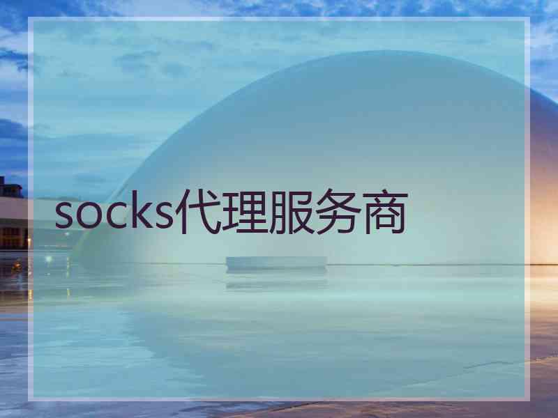 socks代理服务商