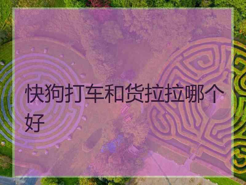 快狗打车和货拉拉哪个好