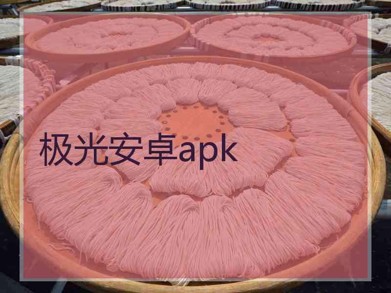 极光安卓apk