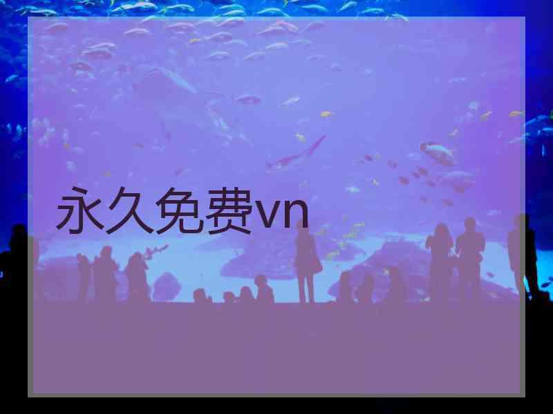 永久免费vn