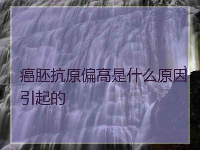 癌胚抗原偏高是什么原因引起的