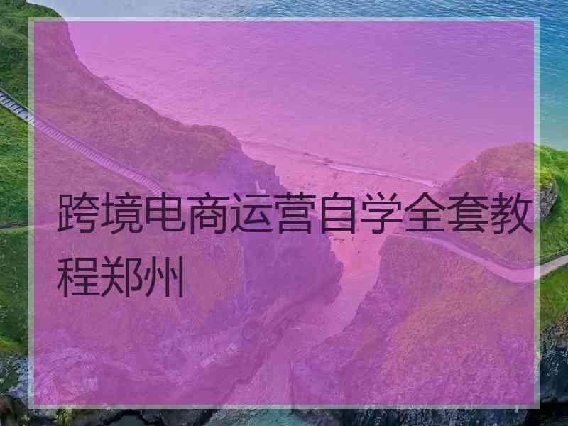 跨境电商运营自学全套教程郑州