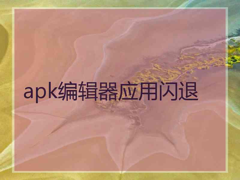 apk编辑器应用闪退