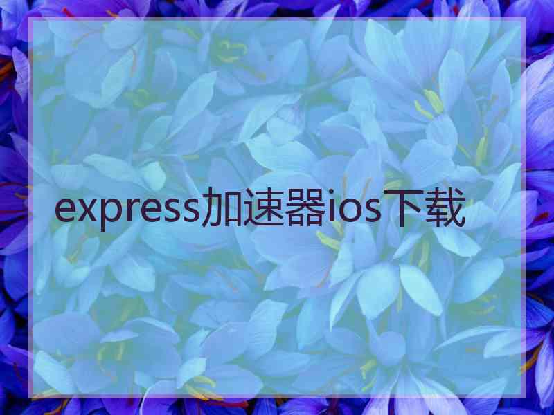 express加速器ios下载