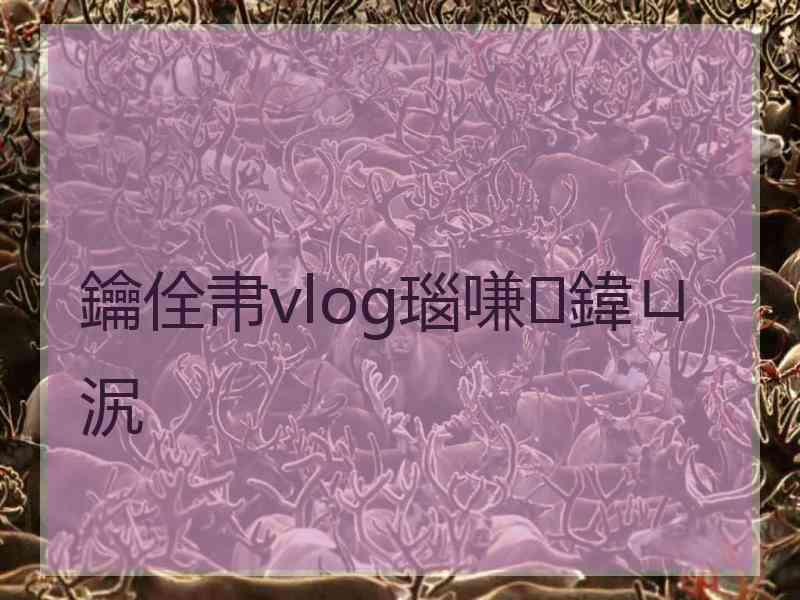 鑰佺帇vlog瑙嗛鍏ㄩ泦