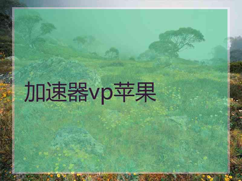 加速器vp苹果