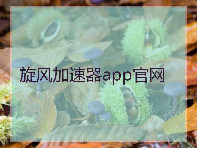 旋风加速器app官网