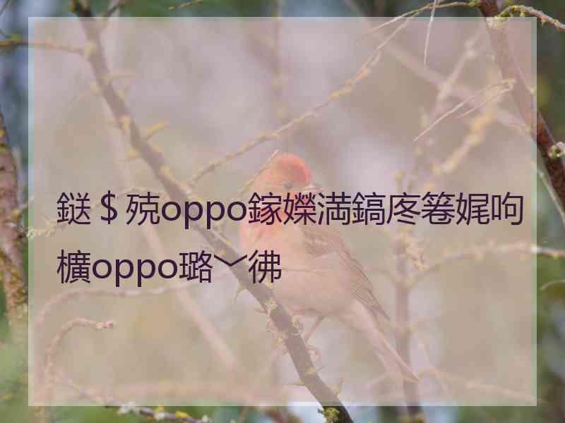 鎹＄殑oppo鎵嬫満鎬庝箞娓呴櫎oppo璐﹀彿