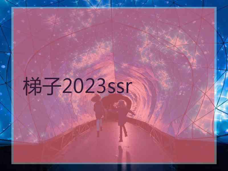 梯子2023ssr