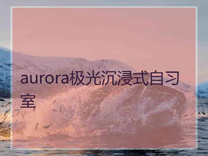 aurora极光沉浸式自习室