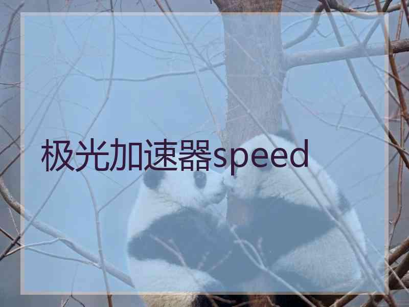 极光加速器speed