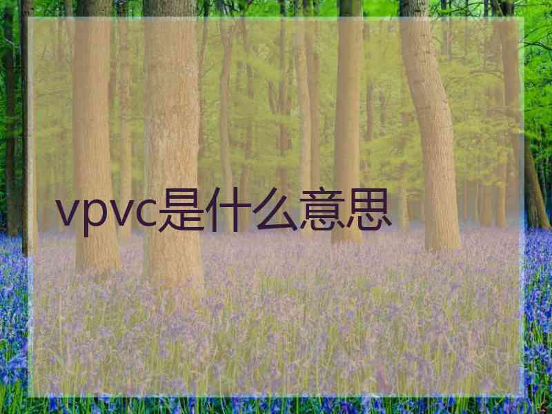 vpvc是什么意思